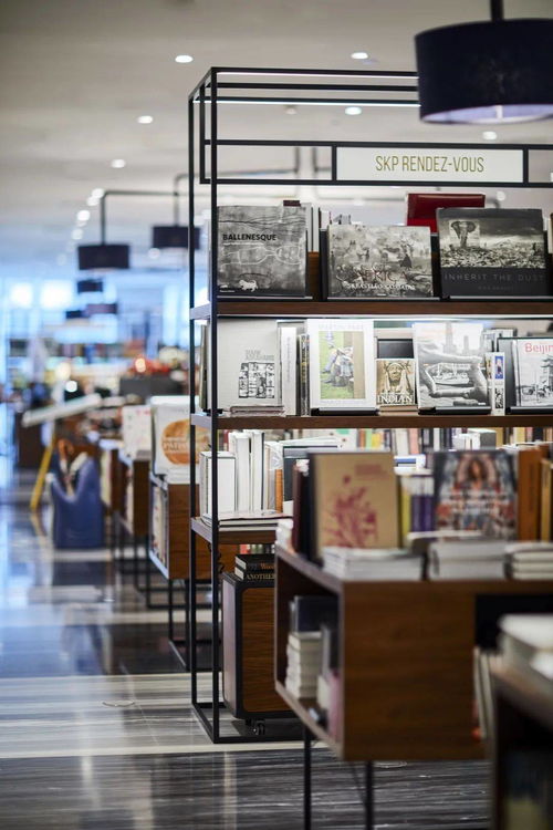 rdv時間 北京 李敬澤 李壯 劉詩宇 拉松沒有馬,評論不是家